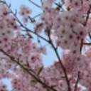 らくうまごはん